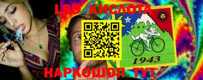 сатива Можга