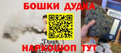 сатива Можга