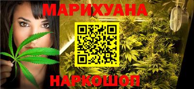 сатива Можга