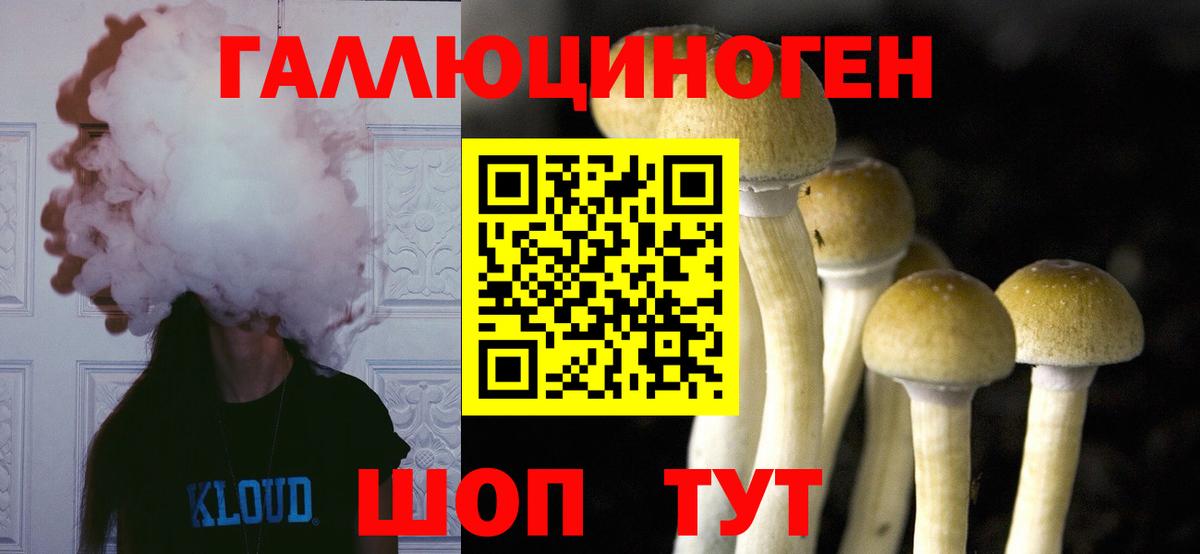 Галлюциногенные грибы мицелий  Вход с VPN  Чехов 